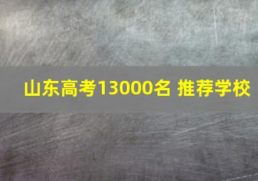 山东高考13000名 推荐学校